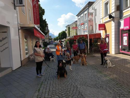 Ausflug der Vielfalt nach Kirchdorf- „Rundweg Kremsweg“ am 12.6.22
