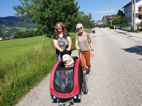 Ausflug der Vielfalt nach Kirchdorf- „Rundweg Kremsweg“ am 12.6.22