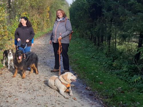 Gruppenspaziergang an der Traun am 15.10.22