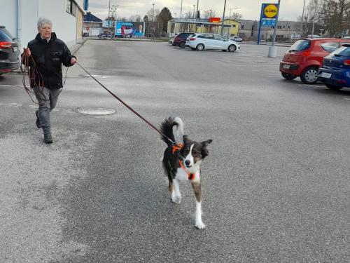 Gemeinsames Trailen am 26.2.2023