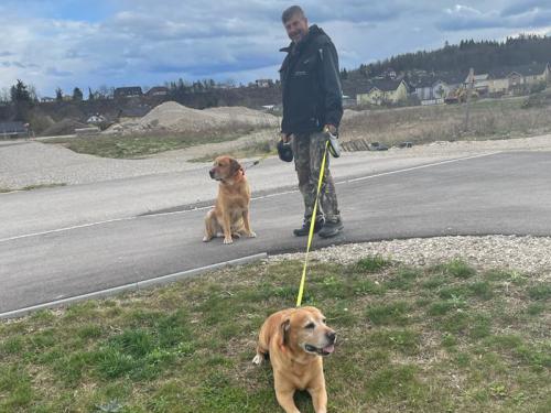 Gruppenspaziergang 25.03.2023