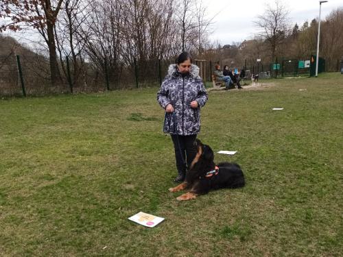 Wunderschöne Rally-Obedience auf Hundetreff Art in der Freilaufzone