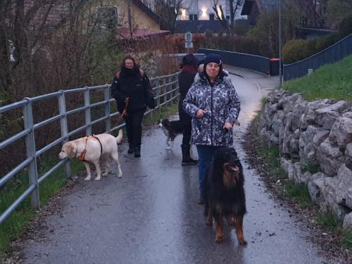 Gruppenspaziergang am 13.04.2023