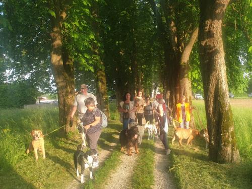 Gruppenspaziergang in Bad Wimsbach am 1.6.23