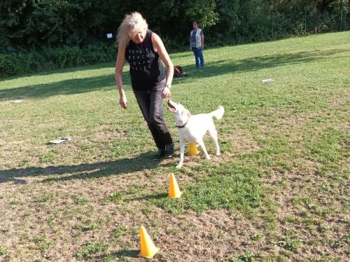 Rally Obedience am 19.7.2023