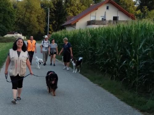 Gruppenspaziergang am 20.7.2023 - Dickingerrunde