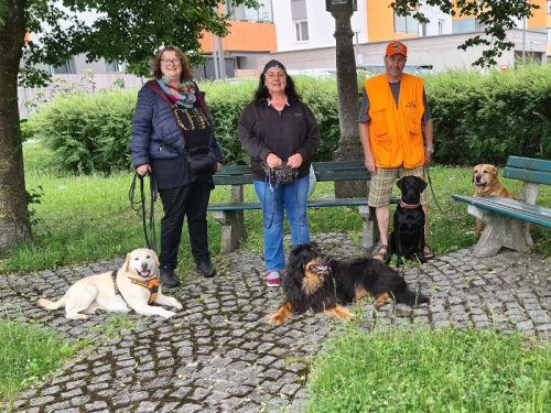 Gruppenspaziergang am 7.6.26 beim Hundetreff Traun-Ufer