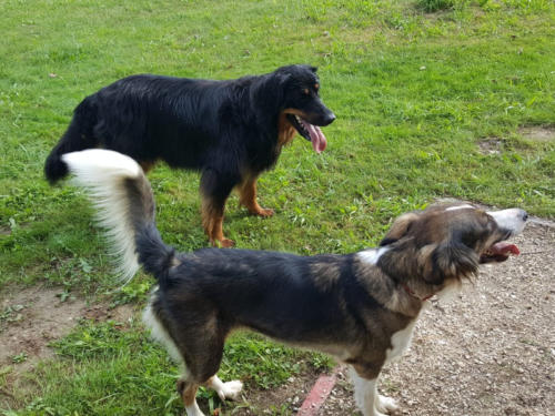 Freundschaft