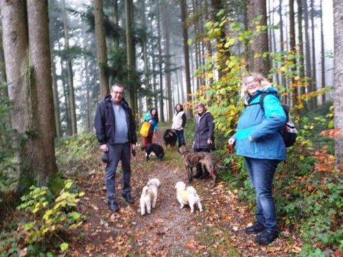 Spaziergang in Neydharting 3.11.2019 