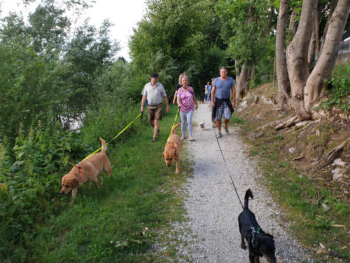  Spaziergang im Wald 7.7.2019 