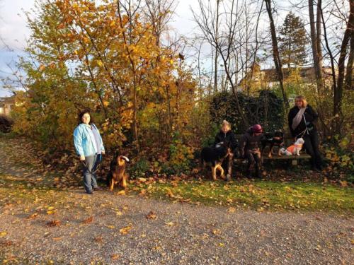 Spaziergang in Neydharting 9.11.2019 